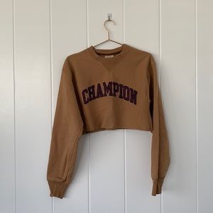 Champion Cropped Sweater